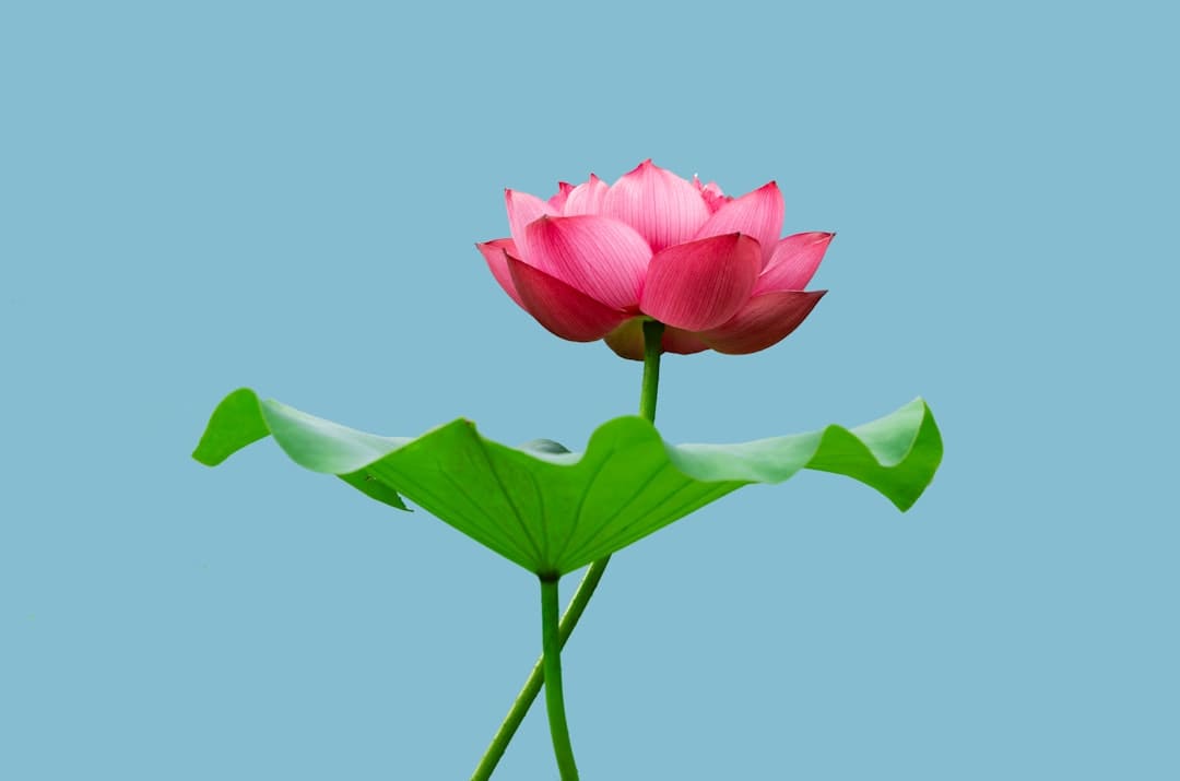 http://n.sinaimg.cn/news/transform/w600h400/20180310/-Un2-fxpwyhw6840361.jpg?zdy